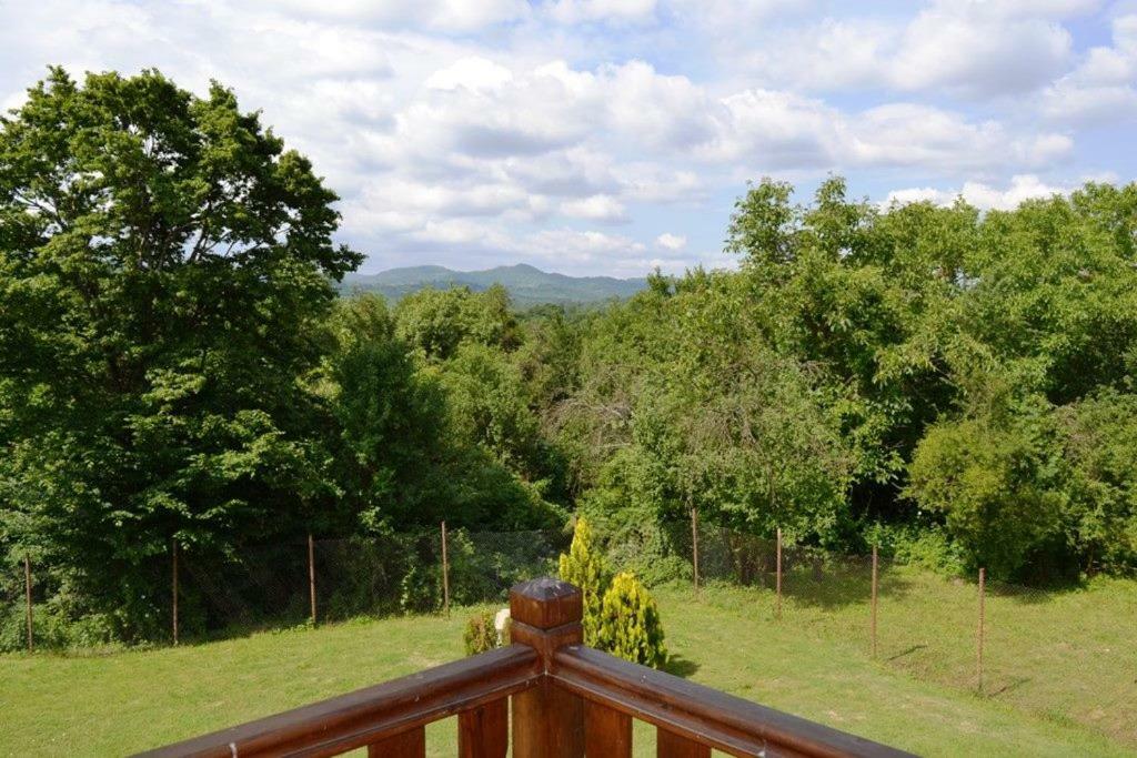 Sichanova Guest House Bruchkovtsi Exterior photo